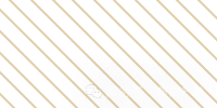 斜条纹-金色.png